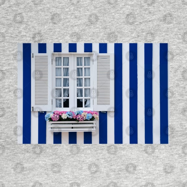 Beautiful typical window by homydesign